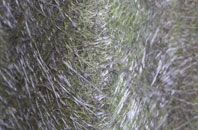 Balvicar fibreglass roof work